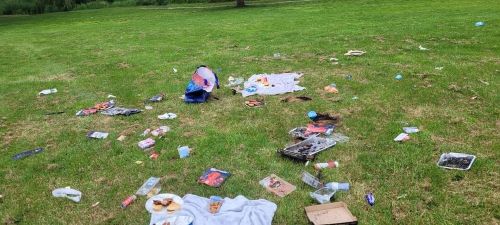 Litter in Gadebridge Park