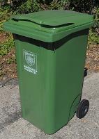 Photo of a green wheeled bin